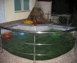 Piscina Adulti